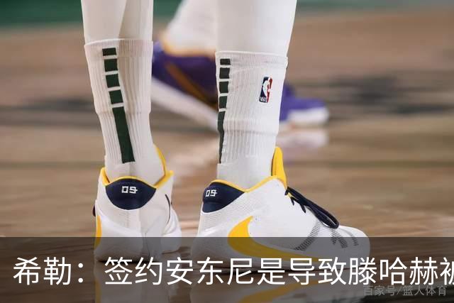 希勒：签约安东尼是导致滕哈赫被解雇的原因之一