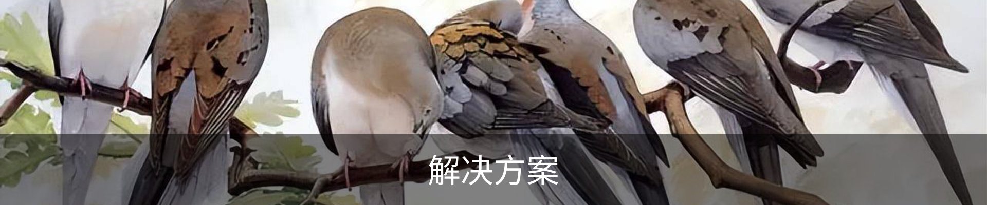 解决方案